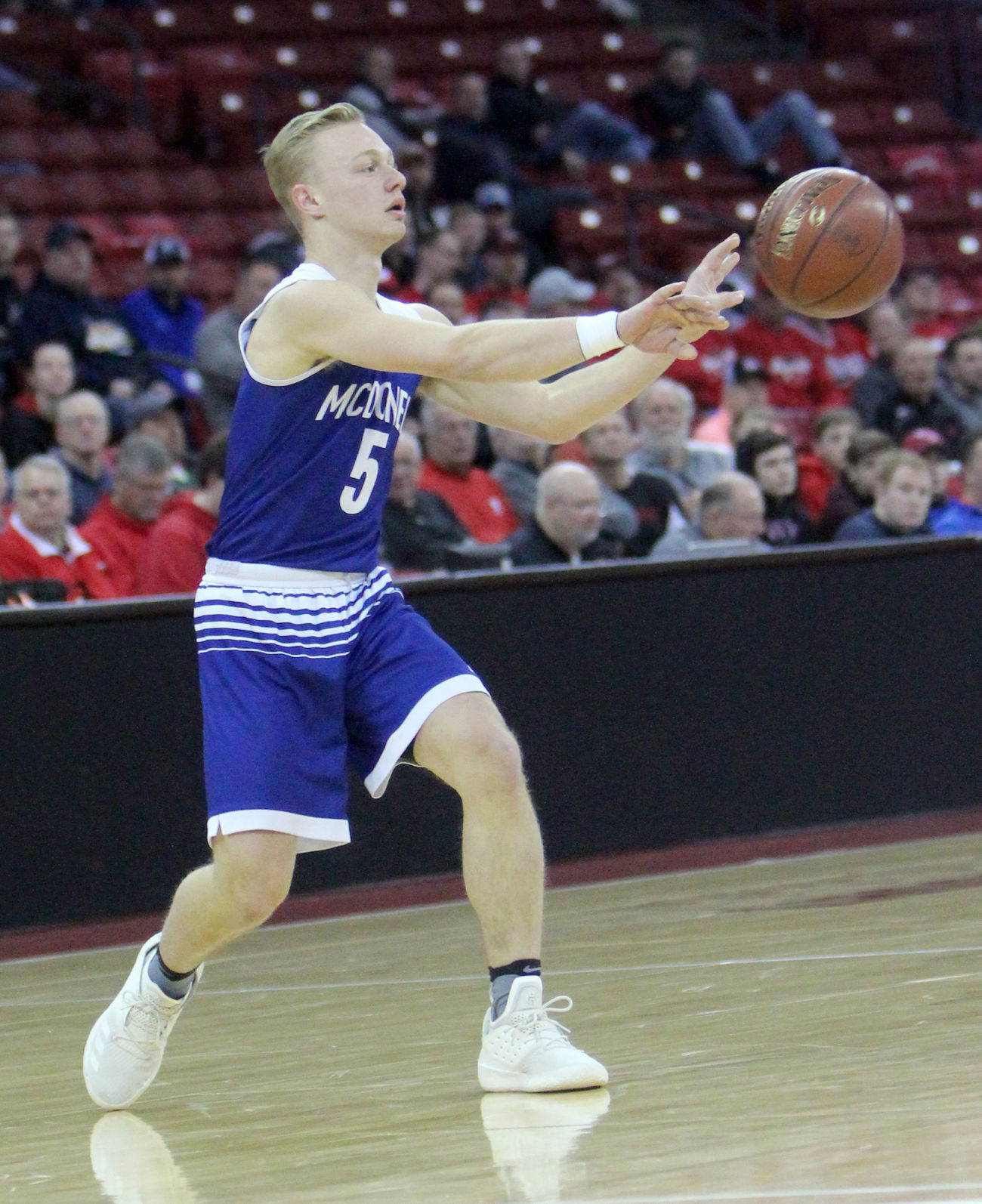 McDonell boys basketball vs Sheboygan Area Lutheran 3-15-19